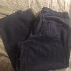 Talbots classic fit jeans petite size 20W
